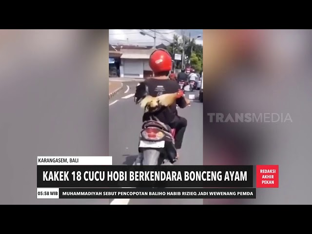 Kakek 18 Cucu Hobi Berkendara Bonceng Ayam | REDAKSI PAGI (22/11/20) class=