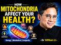 How to Repair Your Mitochondria for Better Energy &amp; Longevity