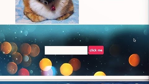 Easy Guide to Divs, Classes, IDs and Forms