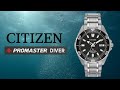 Citizen Promaster Titanium Diver BN0200