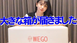 [大量]WEGOから箱が届いたので開封します。