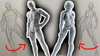 Male vs Female Figures - the one thing EVERY artist MUST know!