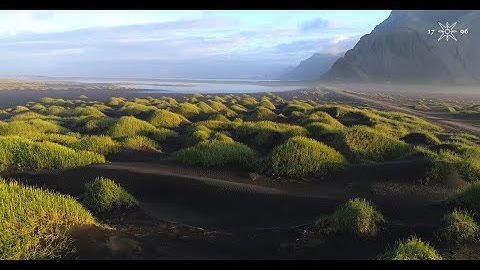 Net Zero: the irrefutable truth.