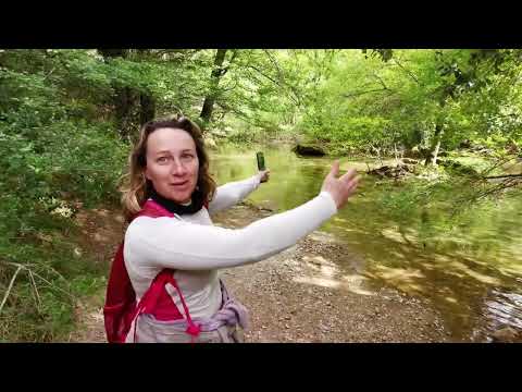 Miniature de Randonnée sur les berges de la Buèges — Vidéo 090