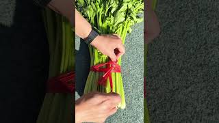 A practical method for bundling a bunch of celery