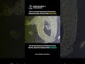 How an Amoeba Eats a Paramecium