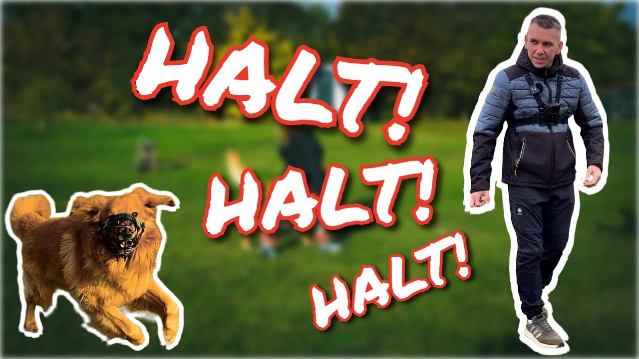 ERST FRUST DANN WUT UND DANN DIE AGGRESSION