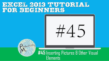 Excel 2013 Tutorial for Beginners #45: Inserting Pictures & Other Visual Elements