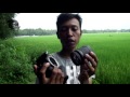 TUTORIAL FOTO MACRO LENSA KIT TERBALIK #PART 1 ASAL JEPRET PHOTOGRAFI - TUTORIAL FOTO MACRO LENSA KIT TERBALIK #PART 1 ASAL JEPRET PHOTOGRAFI