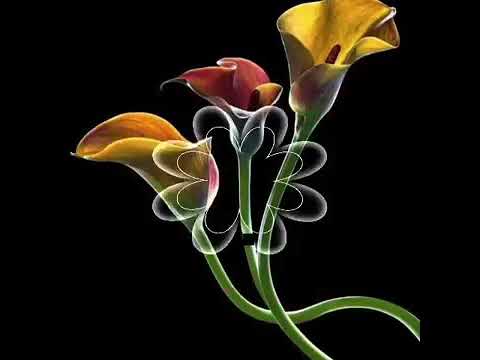 دعاء للصديق 