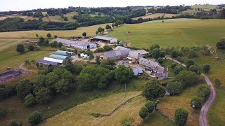 Troupeau à l'attache dans une ferme de l'Aubrac