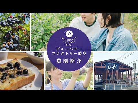 ブルーベリーファクトリーの動画サムネイル