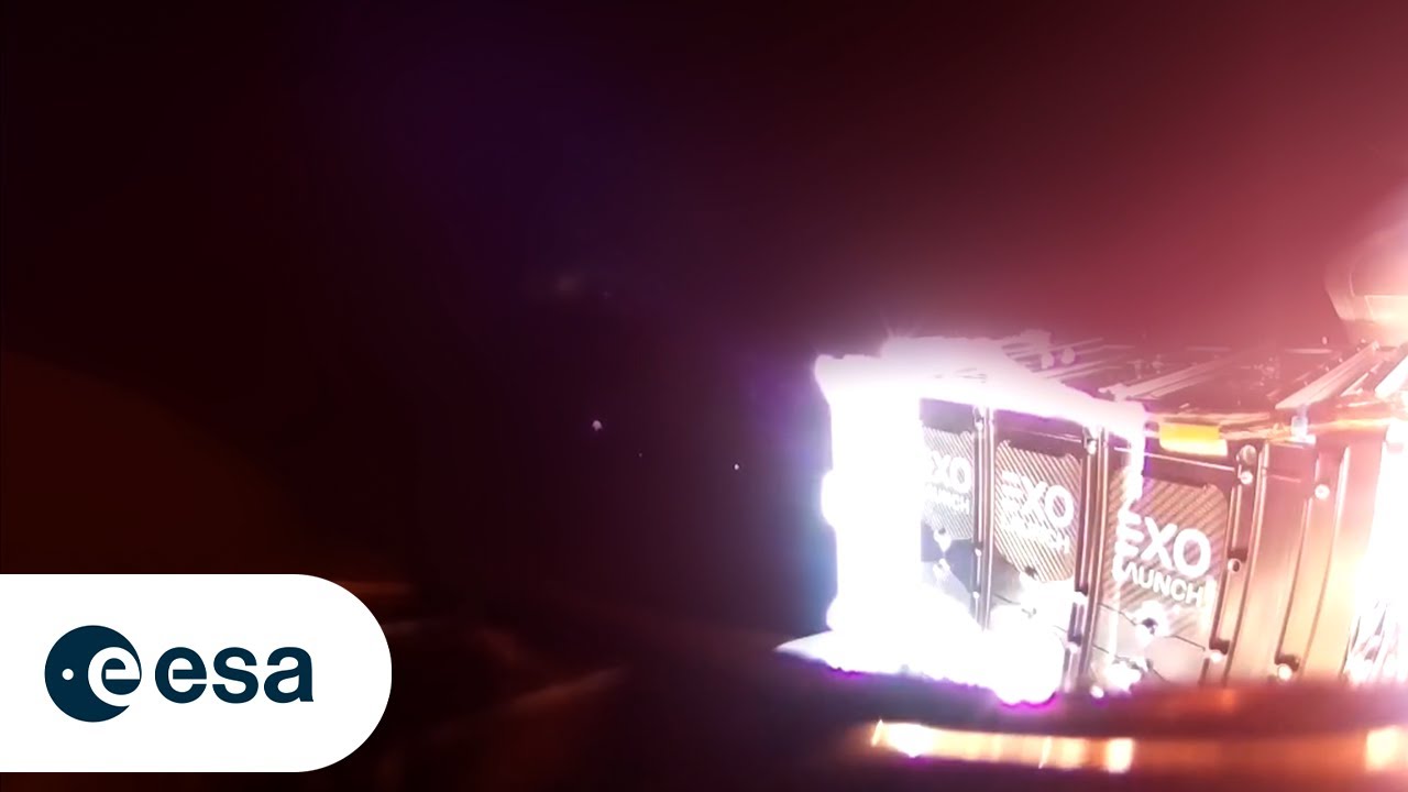 What Is 3 6 Chicken 2 3cat 2 4 Goat