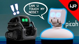 Picoh Robot - Would you sponsor this?