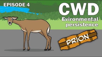 CWD Series Episode 4 - Why does environmental persistence of prions matter?