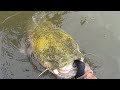 Shallow Water Creek Holds BIG Fish Surprise!!!