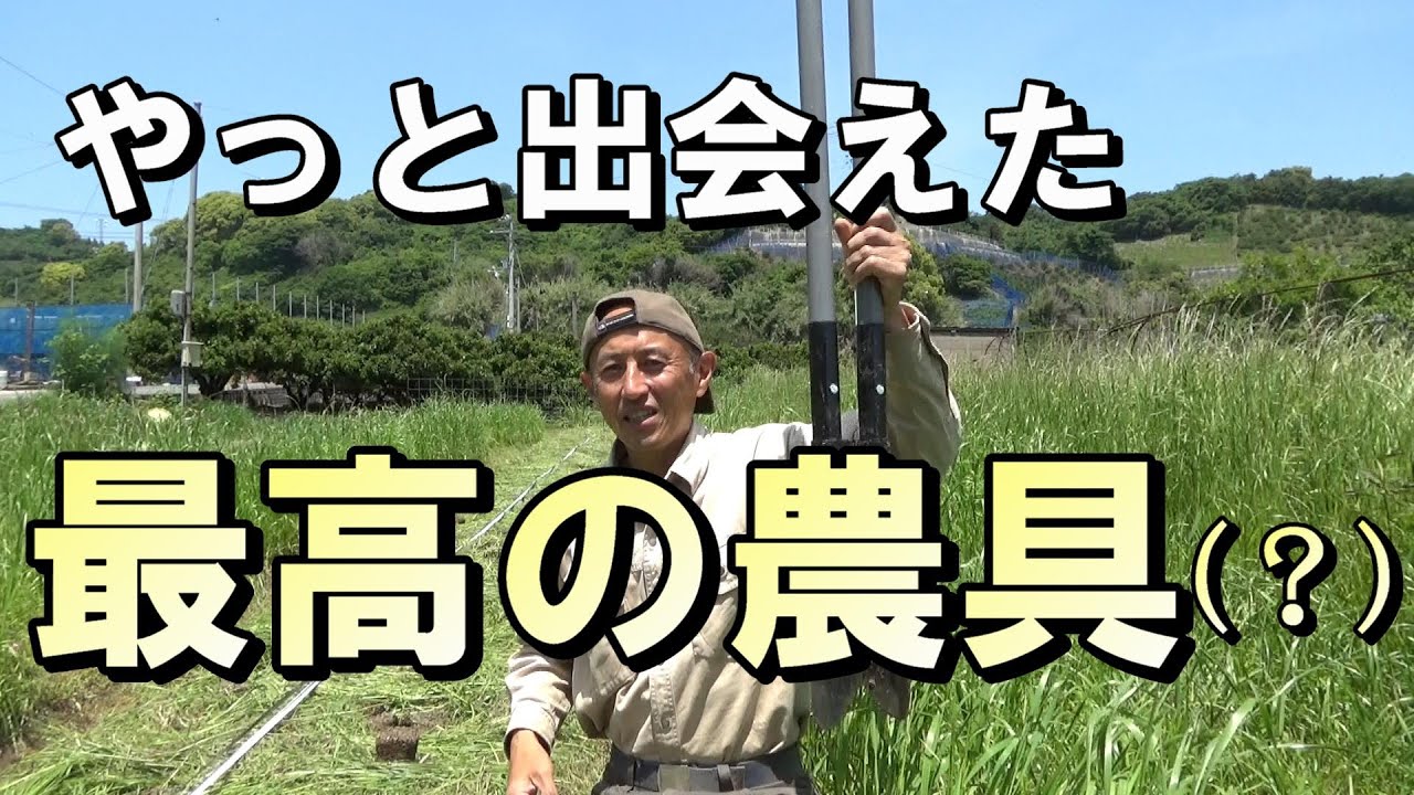【自然農】作業時間半減！やっと出会えた「最高の農具（？）」　2023年5月18日【natural farming】