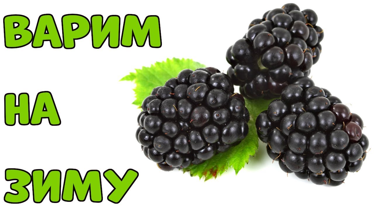 Ягода Ежевика - Варенье из Ежевики на Зиму🍇