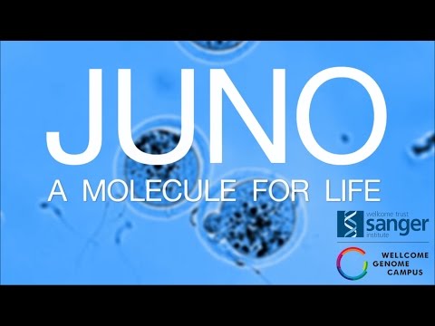 Juno: A molecule for life - Sanger Institute