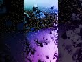 추상적 Flow 표면 밀착 흐른다 Particle 매우 작은 cube 수 많은... 2468개... [Blender 5.0]