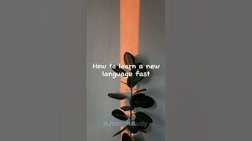 How to learn a new language fast #study #shorts #studytips