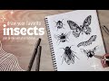 How to draw cute realistic insects with ink  step by step tutorial