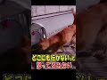 助けを求めるガリガリ猫ショート再配信2