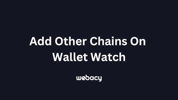 Multichain Wallet Watch Walkthrough