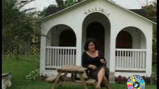 Version 2 of the video