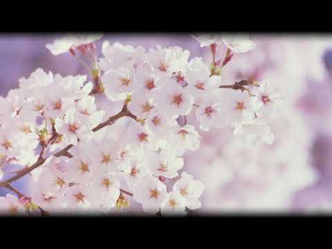 春よ、来い / 松任谷由実 (off Vocalカラオケ / 原曲キーVer)