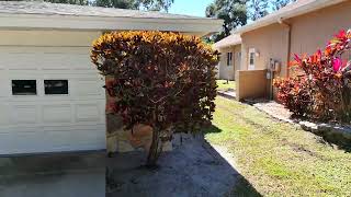 Drone Video   2949 Sunset Point Rd, Clearwater, FL 33759 2