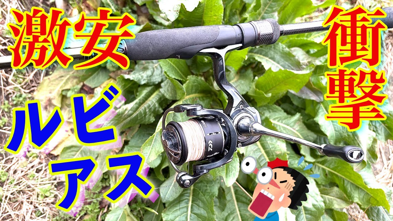 衝撃！！本当にルビアス！？激安！コスパも高すぎ！！脅威！！