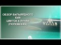 Обзор бильярдного кия Цветок 6 лучей, Эбен, Граб (Поповские кии) - Luza.ru