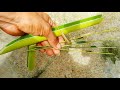 How to Make Toy Crossbow from Banana Tree