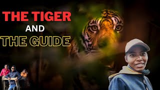 🐅Tiger Sighting  : Tracking Tigress Bindu's Cubs at Pench Tiger Reserve Khursapar