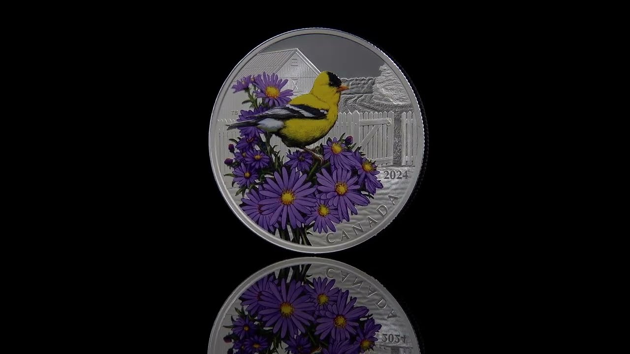 1 oz. Pure Silver Coin – Colourful Birds: American Goldfinch | The Royal  Canadian Mint
