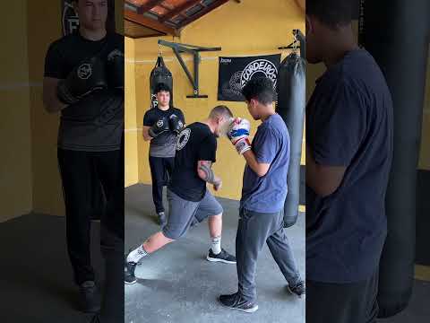 Técnica de Boxe
