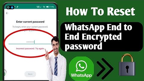 How to Reset Encrypted PasswordWhatsApp (2023)|| Recover WhatsAppEncrypted Password
