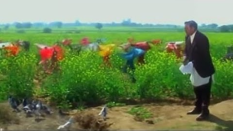 Ghar aaja pardesi tera desh bulaaye re ((sad song)) Manpreet Kaur, Pamela Chopra. Shahrukh, Kajol