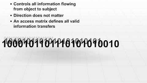20 Information Flow Model