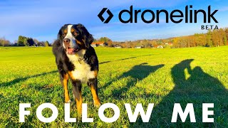 Dronelink BETA with Follow Me, Focus and Orbit. 3 Fantastic Actions tested on DJI Mavic Mini!