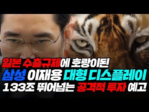 일본 수출규제에 호랑이된 삼성 이재용 대형 디스플레이 <strong>133조</strong> 뛰어넘는 공격적 투자 예고