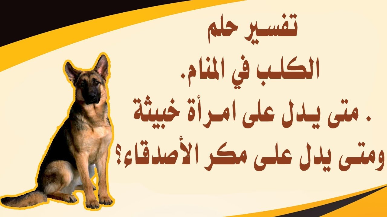 د سپي په اړه د خوب تعبیر