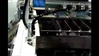 Whole Packing Line, Automatic Carton Unpacking,Filling, Sealing System