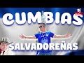 Cumbias para bailar mix 3  cumbia de aniceto molina popurri para sacar polvo dj nino g 