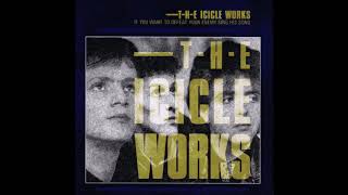 Watch Icicle Works Travelling Chest video