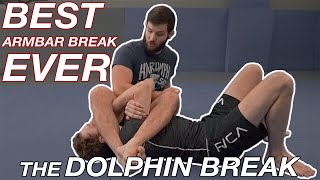The BEST Armbar break EVER! The DOLPHIN BREAK.