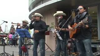 Mariachi Latin EL SINALOENSE.avi