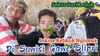Keblak-Keblak || Jaranan Sekar Sari || Live Desa Ledok-Licin