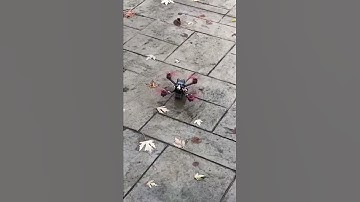 DALRC F722 dual no black box